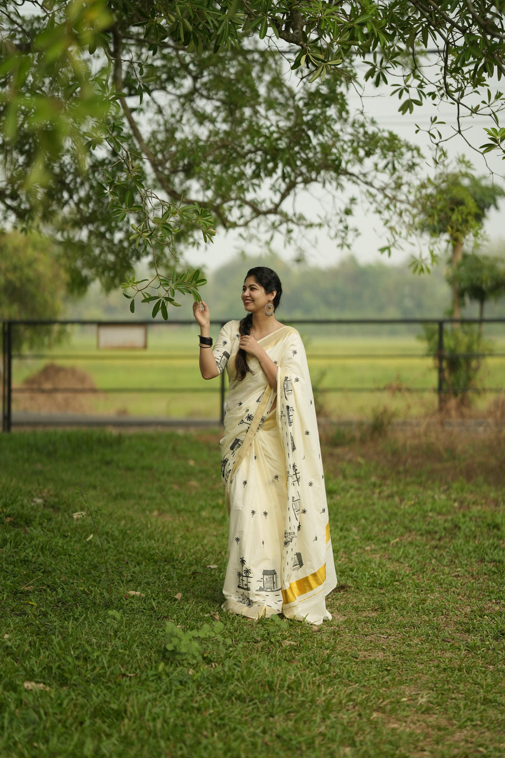 Chai Kada Cotton Embroidered Saree
