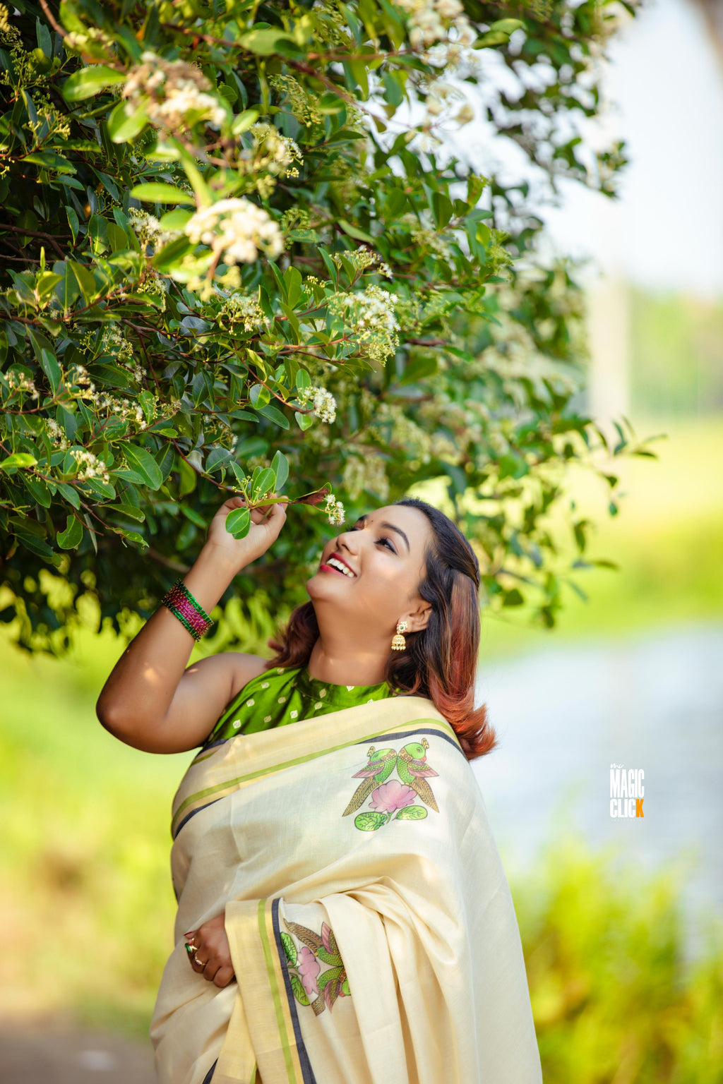 Raja Chithra - Tajore Paintings Digital Printed Tissue saree