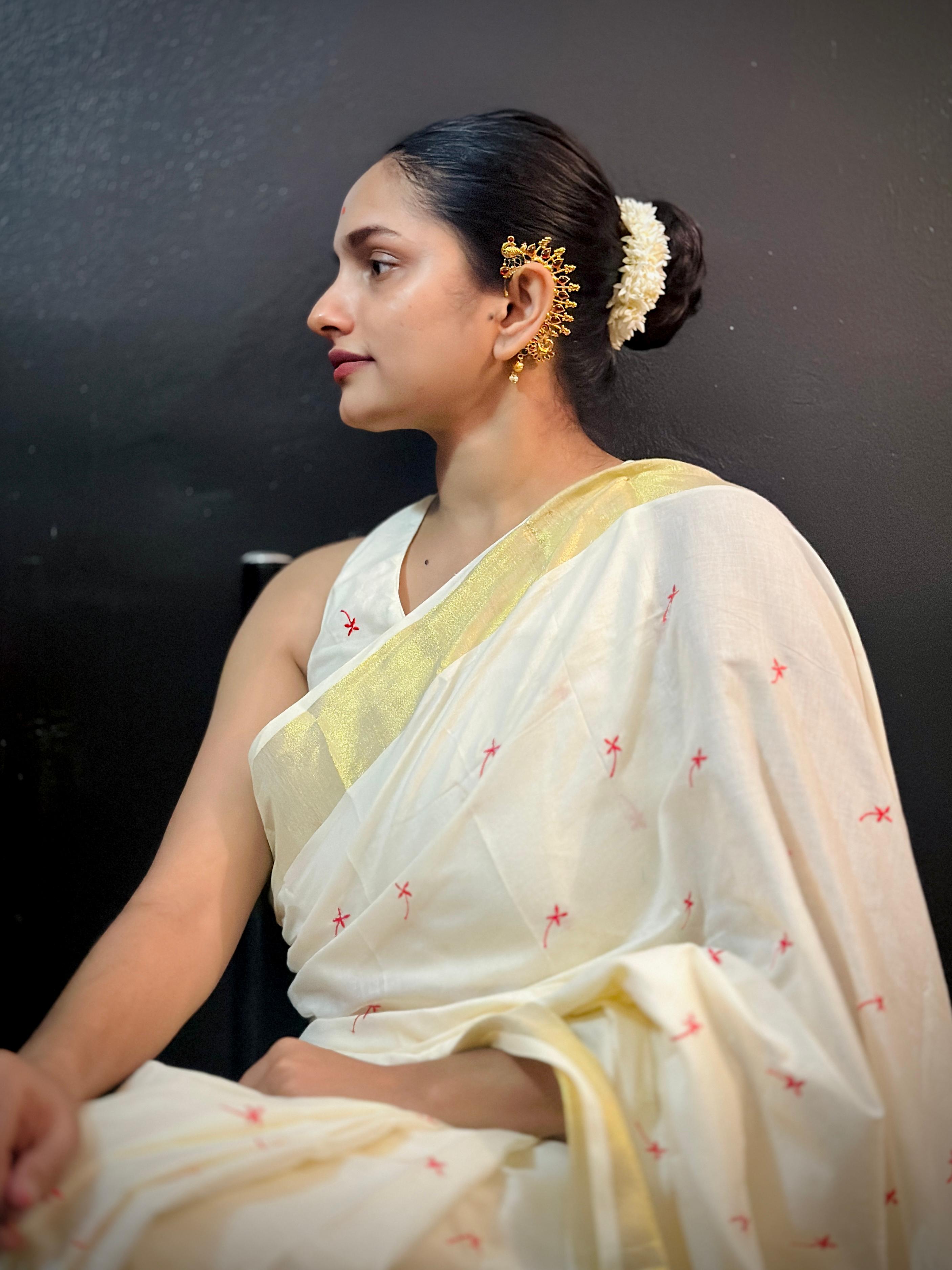 Small Techipoo Embroidered Cotton Saree