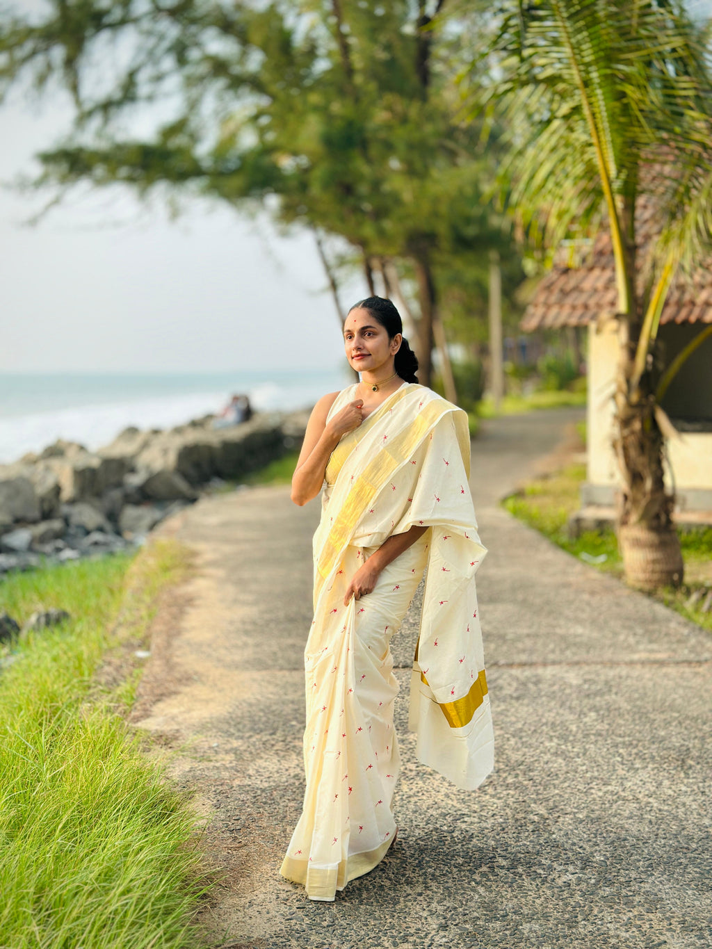 Small Techipoo Embroidered Cotton Saree