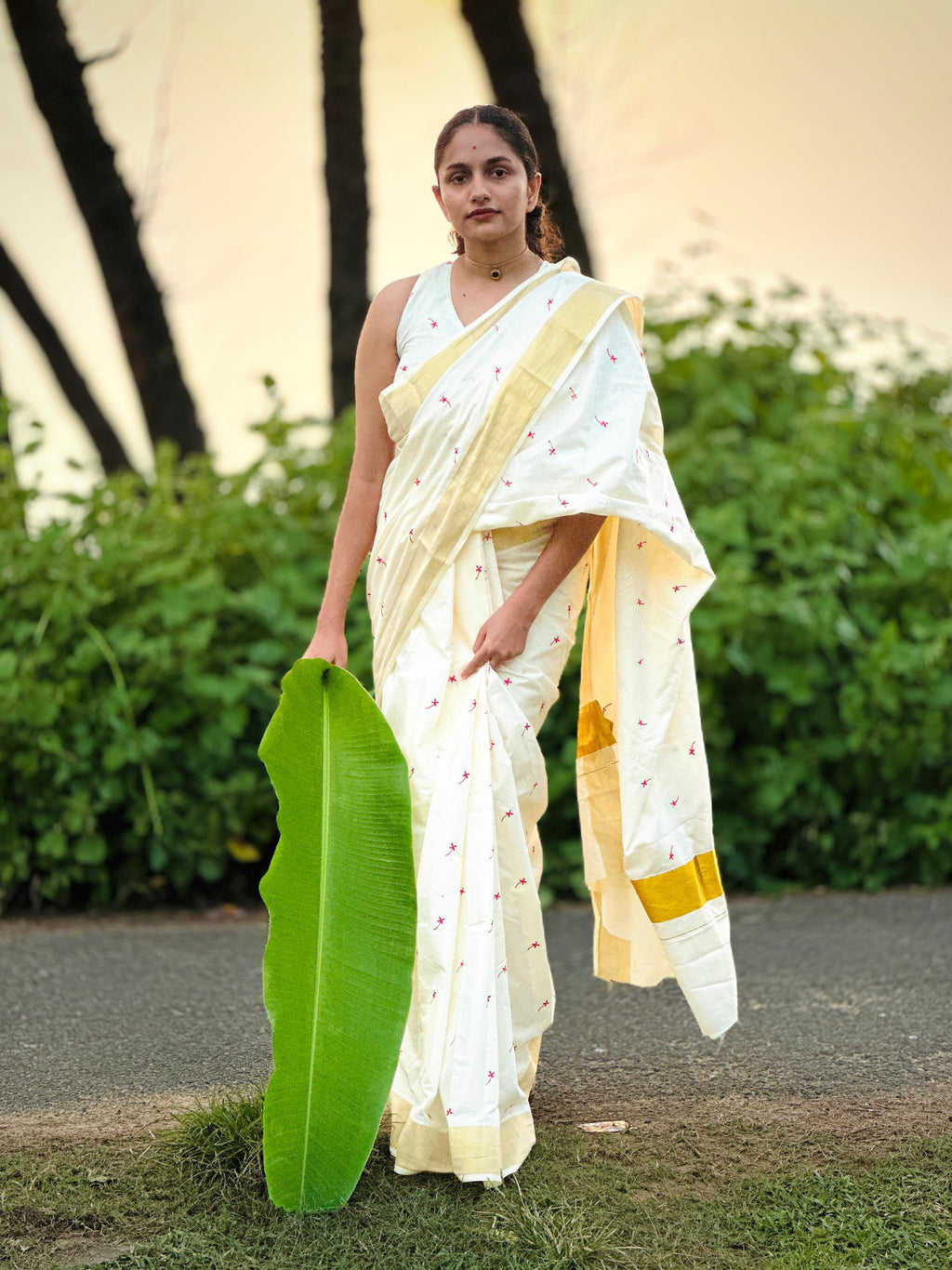 Small Techipoo Embroidered Cotton Saree