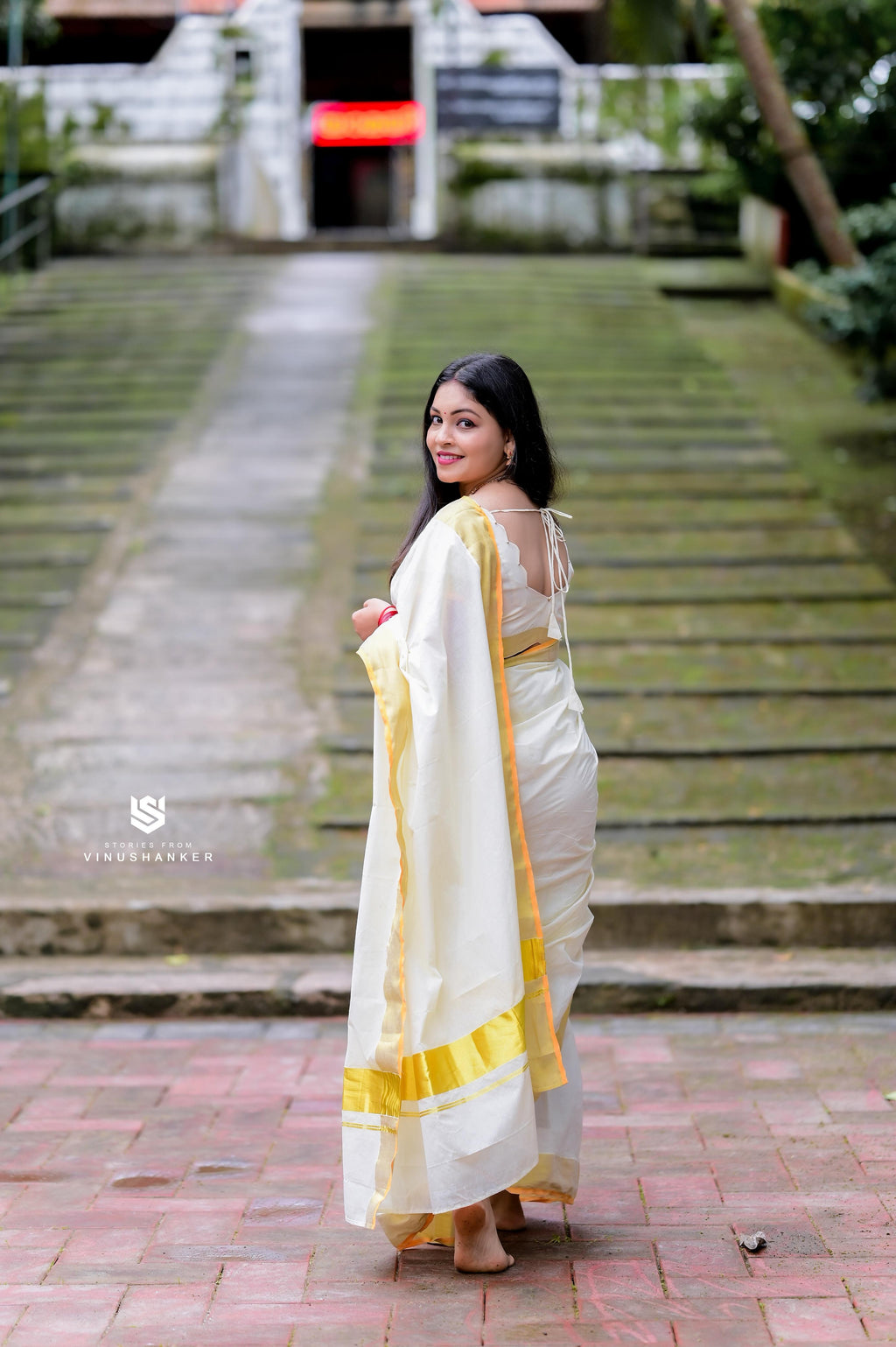 Plain Cotton Kasavu Saree